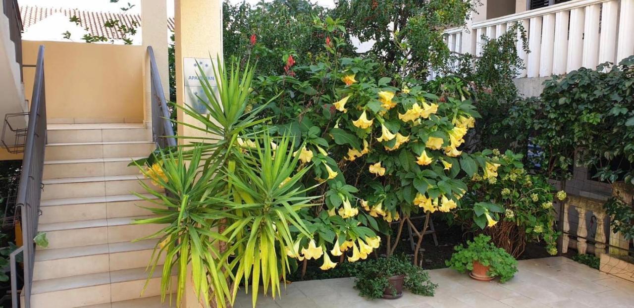 Rihter Guest house Budva